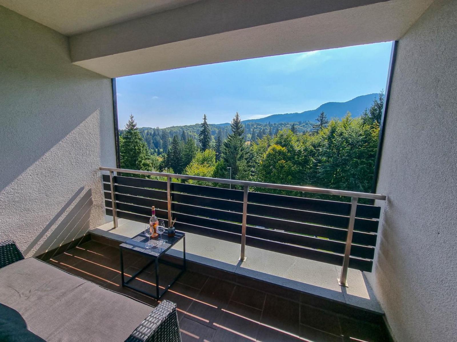 Silver Mountain G1 21 R Poiana Brasov Extérieur photo